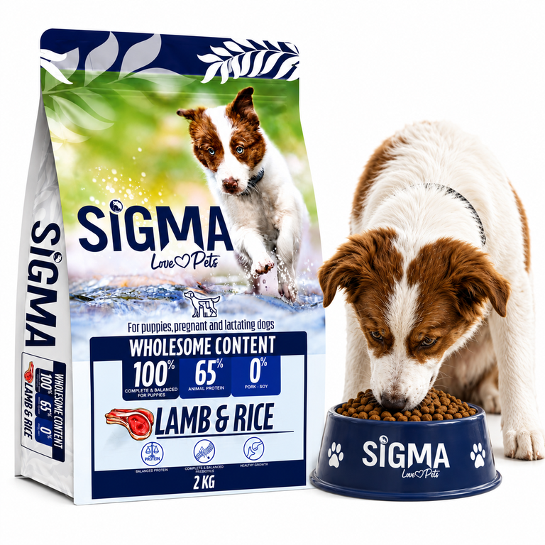 SIGMA PUPPY 2KG(LAMB & RICE)