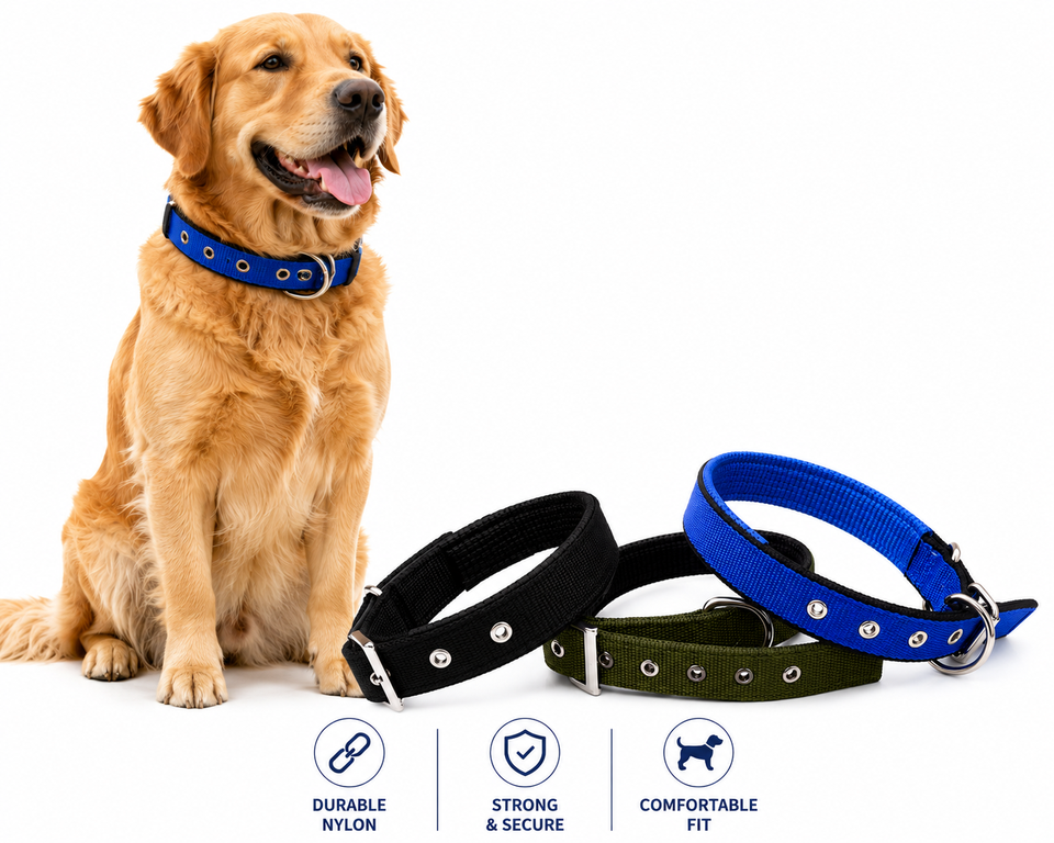 PADDED COLLAR (XL)