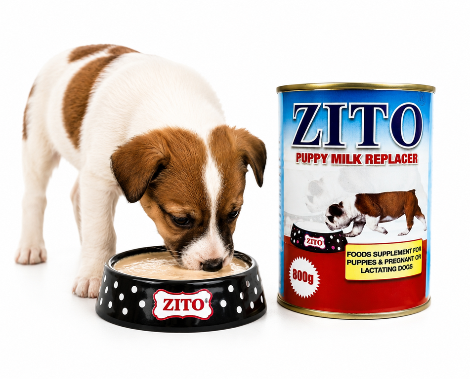 ZITO CAN MILK 800MG