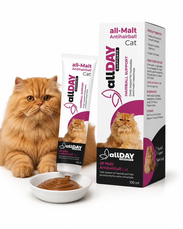 ALLDAY ANTIHAIRBALL MALT