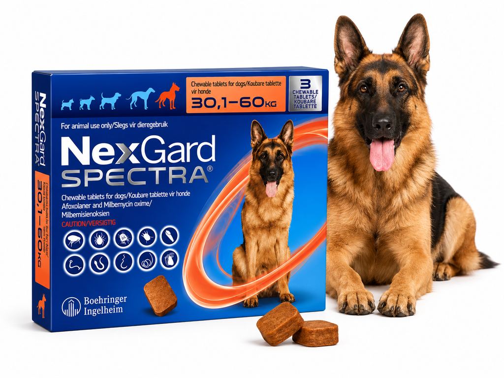 NEXGARD SPEC (30-60KG)