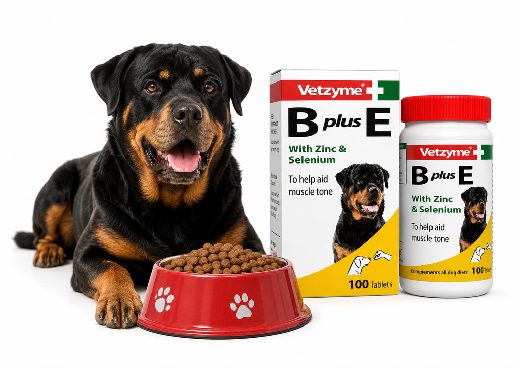 VETZYME B+E