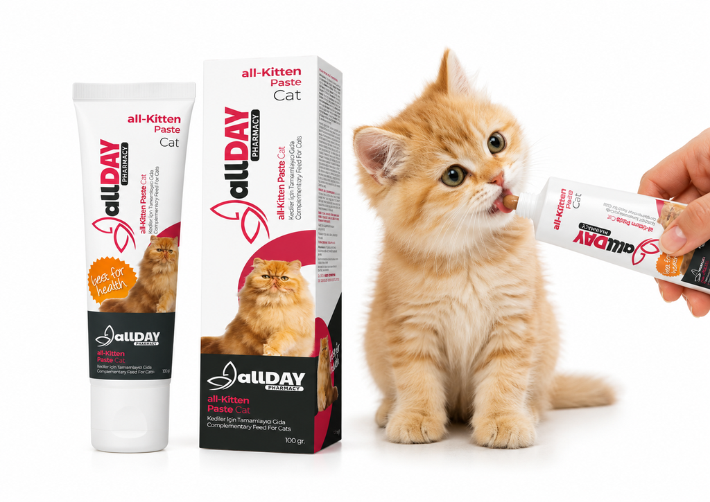 ALLDAY KITTEN PASTE